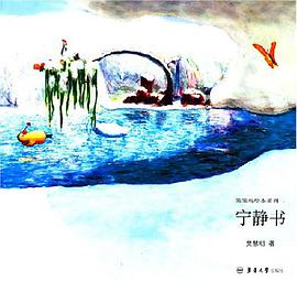 宁静书 pdf epub mobi 电子书 下载