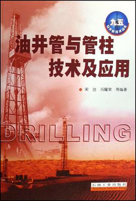 油井管与管柱技术及应用 pdf epub mobi 电子书 下载