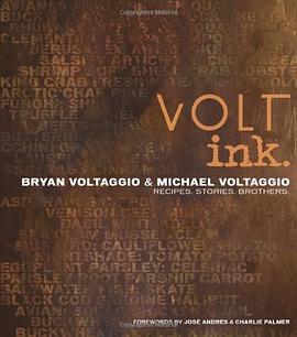 Volt Ink. pdf epub mobi 电子书 下载