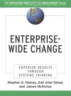 Enterprise-wide Change pdf epub mobi 电子书 下载