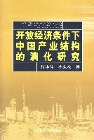 开放经济条件下中国产业结构的演化研究 pdf epub mobi 电子书 下载