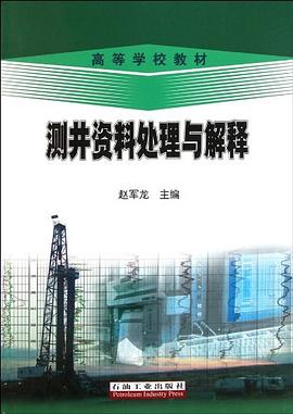 测井资料处理与解释 pdf epub mobi 电子书 下载