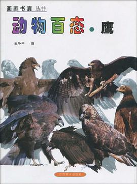 动物百态·鹰