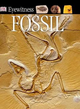 Fossil pdf epub mobi 电子书 下载