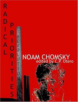 Radical Priorities pdf epub mobi 电子书 下载
