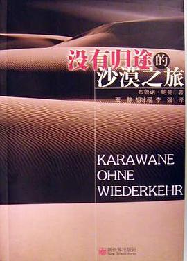 没有归途的沙漠之旅 pdf epub mobi 电子书 下载