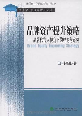 品牌资产提升策略 pdf epub mobi 电子书 下载