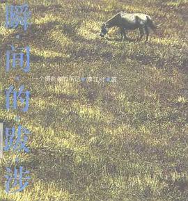 瞬间的跋涉 pdf epub mobi 电子书 下载