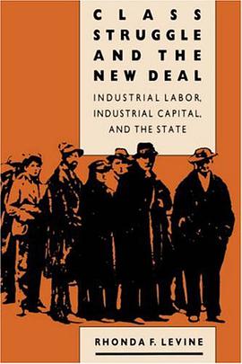 Class Struggle and the New Deal pdf epub mobi 电子书 下载