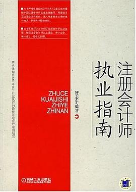 注册会计师执业指南 pdf epub mobi 电子书 下载