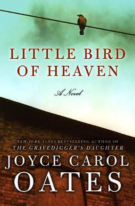 Little Bird of Heaven LP pdf epub mobi 电子书 下载