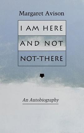 I am Here and Not Not-There pdf epub mobi 電子書 下載
