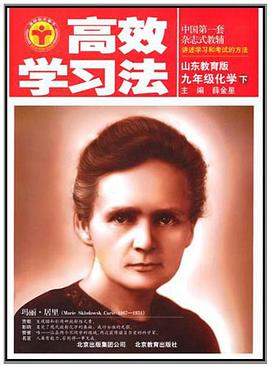 九年級化學下 pdf epub mobi 電子書 下載