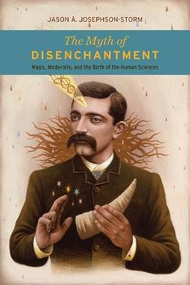The Myth of Disenchantment pdf epub mobi 电子书 下载