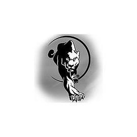 Wing Chun Kung Fu pdf epub mobi 电子书 下载