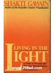 Living in the Light: A Guide to Personal and Planetary Transformation pdf epub mobi 电子书 下载