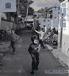 游走于胡同中 pdf epub mobi 电子书 下载