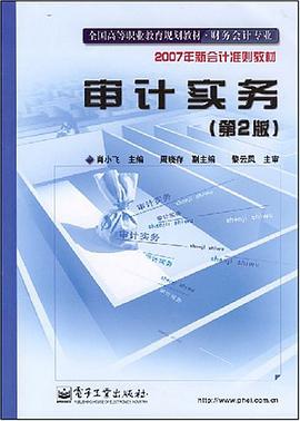 审计实务 pdf epub mobi 电子书 下载