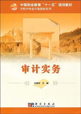 审计实务 pdf epub mobi 电子书 下载