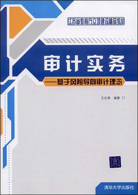 审计实务 pdf epub mobi 电子书 下载