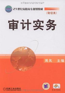 审计实务 pdf epub mobi 电子书 下载