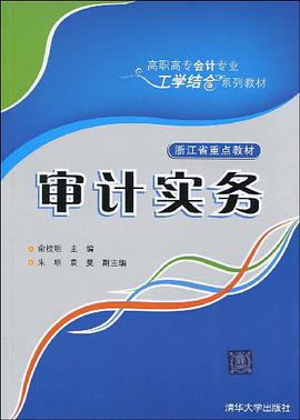 审计实务 pdf epub mobi 电子书 下载