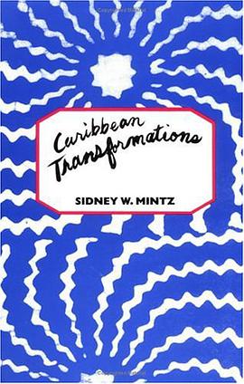Caribbean Transformations pdf epub mobi 电子书 下载