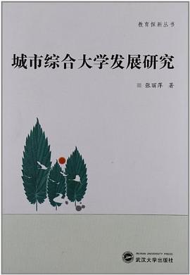 城市综合大学发展研究 pdf epub mobi 电子书 下载