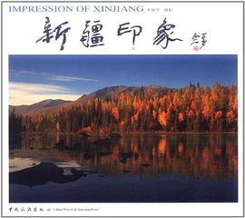 新疆印象 pdf epub mobi 电子书 下载