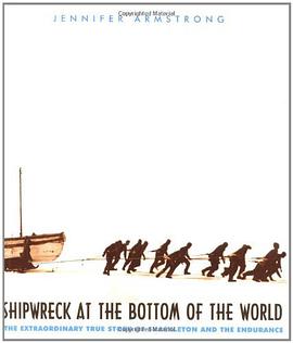Shipwreck at the Bottom of the World pdf epub mobi 电子书 下载