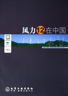 风力12在中国 pdf epub mobi 电子书 下载
