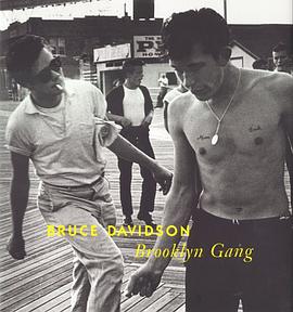 Brooklyn Gang pdf epub mobi 电子书 下载