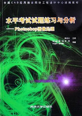 水平考试试题练习与分析 pdf epub mobi 电子书 下载