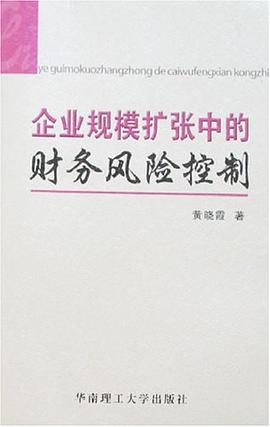 企业规模扩张中的财务风险控制