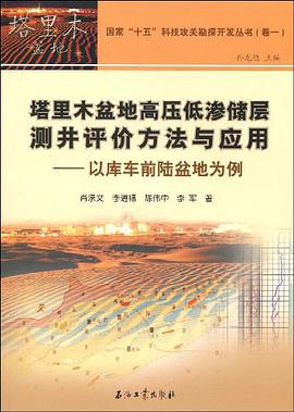 塔里木盆地高压低渗储层测井评价方法与应用 pdf epub mobi 电子书 下载