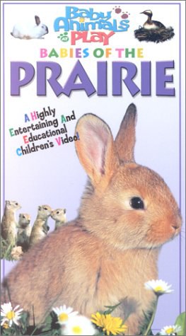 Baby Animals at Play pdf epub mobi 电子书 下载