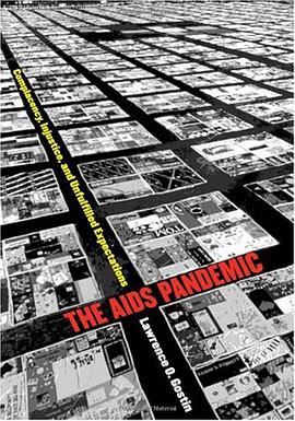 The AIDS Pandemic pdf epub mobi 电子书 下载