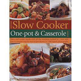 Slow Cooker pdf epub mobi 电子书 下载