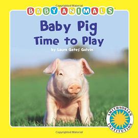 Baby Pig Time to Play pdf epub mobi 电子书 下载