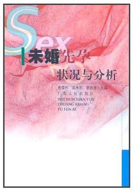未婚先孕状况与分析 pdf epub mobi 电子书 下载
