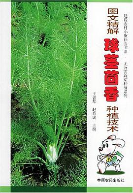 图文精解球茎茴香种植技术