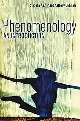 Phenomenology pdf epub mobi 电子书 下载