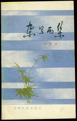杂写丙集
