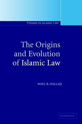 The Origins and Evolution of Islamic Law pdf epub mobi 电子书 下载