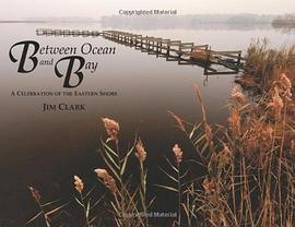 Between Ocean and Bay pdf epub mobi 电子书 下载