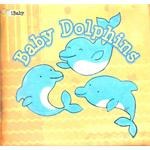 Baby Baby Dolphins
