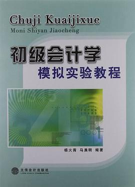 初级会计学模拟实验教程 pdf epub mobi 电子书 下载
