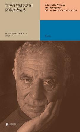 在应许与遗忘之间：阿米亥诗精选 pdf epub mobi 电子书 下载