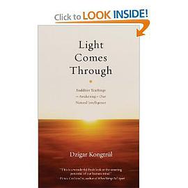 Light Comes Through pdf epub mobi 电子书 下载