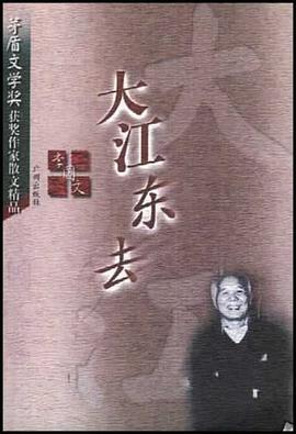 大江东去 pdf epub mobi 电子书 下载